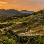 Can Satellite Crop Monitoring Really Be Trusted?