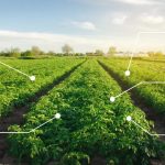 What Happens When Technology Meets Agriculture