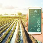 What Happens When Technology Meets Agriculture