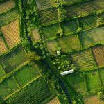 Challenges in Large-Scale Agriculture and How to Solve Them