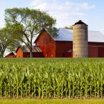 A Complete Guide for Large-Scale Agriculture