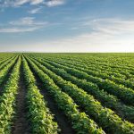Top 7 Ways Precision Agriculture Increases Profit
